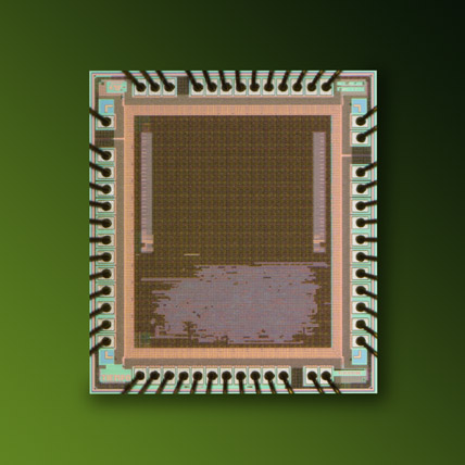 TAM16 Chip